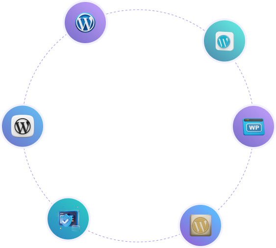 Custom WordPress - Zetawiz